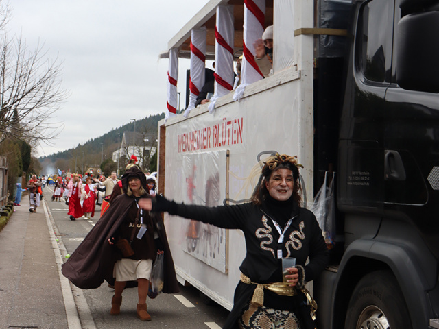 Umzug Neckargemuend 2026